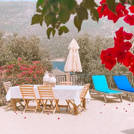 Club Barbarossa Villas Vila *