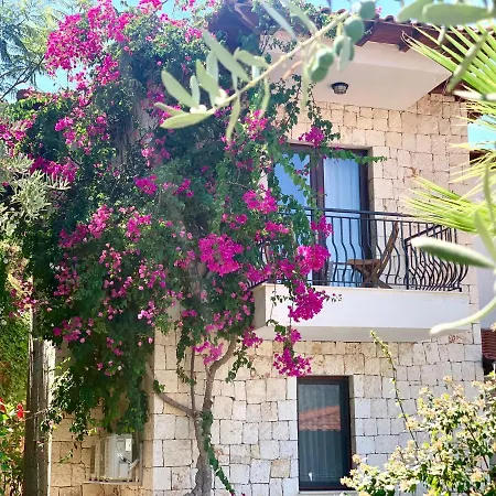 Vila Club Barbarossa Villas