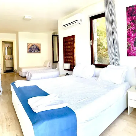 Club Barbarossa Villas *