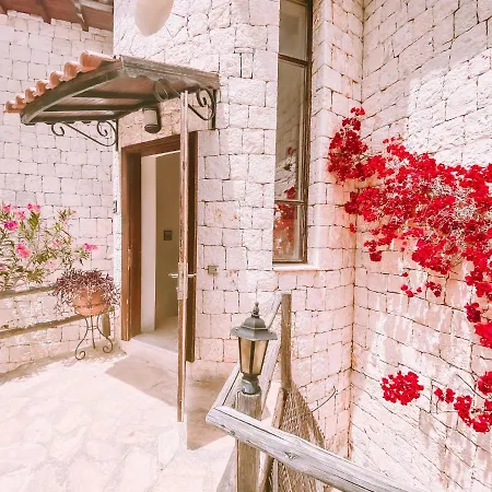 Vila Club Barbarossa Villas