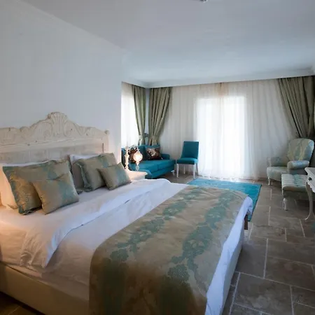 Club Barbarossa Villas Vila *