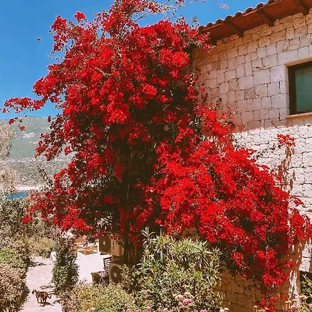 Βίλα Club Barbarossa Villas *