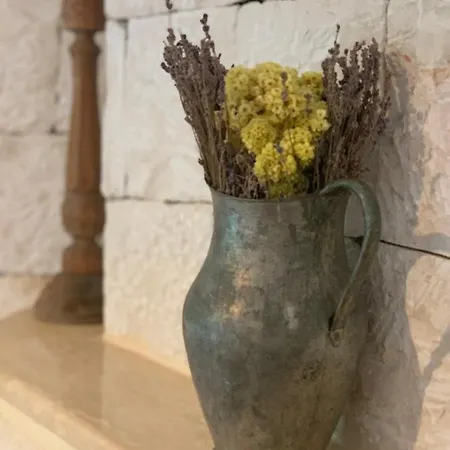 Club Barbarossa Villas * Κας