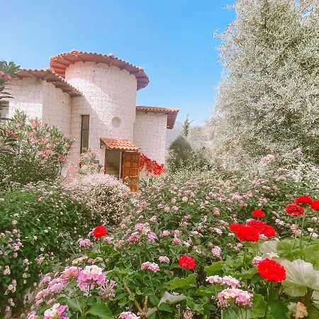 Club Barbarossa Villas Kas