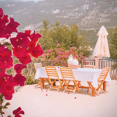 Club Barbarossa Villas Κας