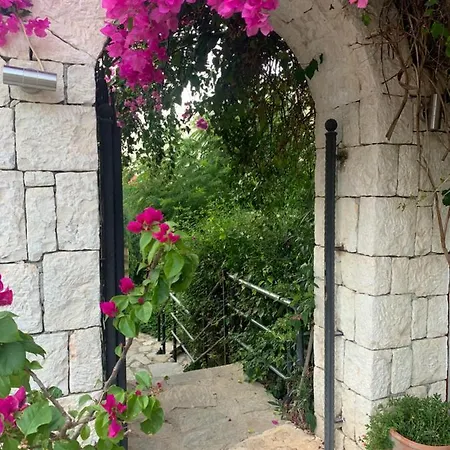 Βίλα Club Barbarossa Villas Κας