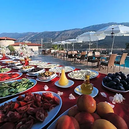 Vila Club Barbarossa