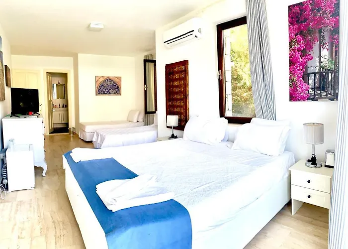 Club Barbarossa Villas *